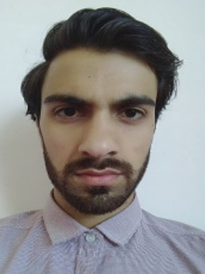 Svenska Institute of Technology